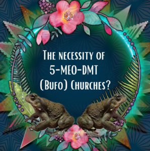 The necessity of 5-meo-DMT (bufo) churches?
