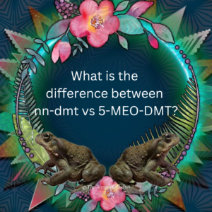 What is the difference between nn-dmt vs 5-meo-dmt?