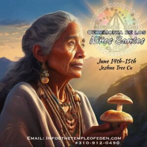 June 14-15 Mushroom Ceremony- Joshua Tree CA